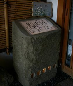20130513201857250